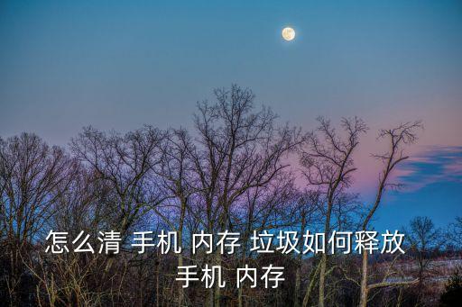 自動(dòng)清理手機(jī)內(nèi)存垃圾,三星手機(jī)怎么清理垃圾?