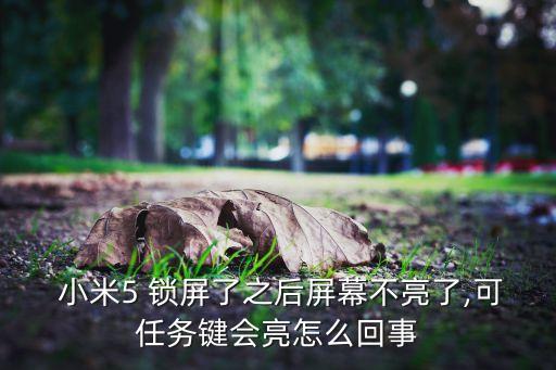  小米5 鎖屏了之后屏幕不亮了,可任務(wù)鍵會(huì)亮怎么回事