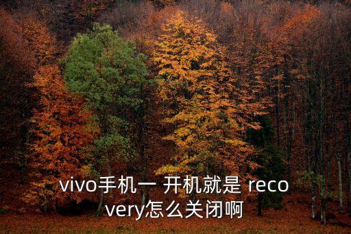 刷完開機(jī)自動(dòng)進(jìn)入rec,如何進(jìn)入刷機(jī)向?qū)Щ謴?fù)模式?