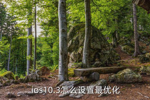  ios10.3怎么設置最優(yōu)化
