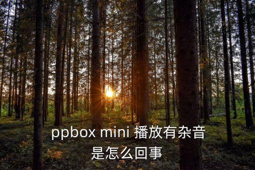  ppbox mini 播放有雜音是怎么回事
