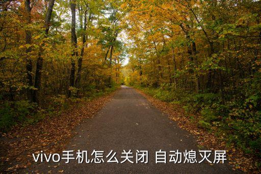 vivo手機怎么關(guān)閉 自動熄滅屏
