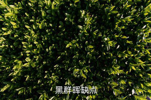  黑群暉缺點(diǎn)