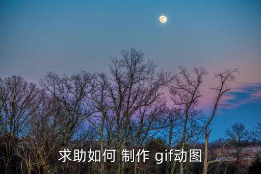 求助如何 制作 gif動圖