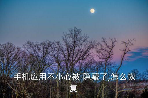  手機(jī)應(yīng)用不小心被 隱藏了,怎么恢復(fù)