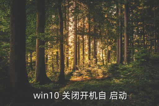  win10 關(guān)閉開機自 啟動