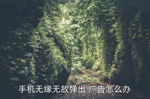 安卓會(huì)自動(dòng)彈出廣告怎么辦,手機(jī)廣告彈出如何解決?