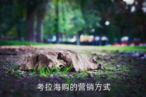  考拉海購的營銷方式