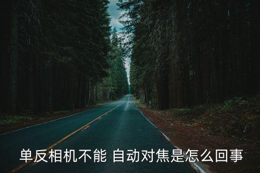  單反相機(jī)不能 自動(dòng)對(duì)焦是怎么回事