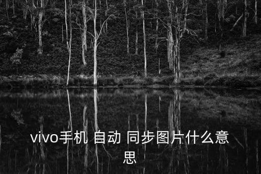 vivo手機 自動 同步圖片什么意思