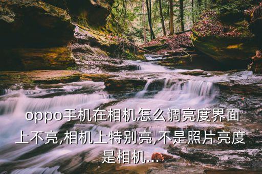 oppo拍照 自動(dòng)變亮嗎,如何設(shè)置自動(dòng)曝光?