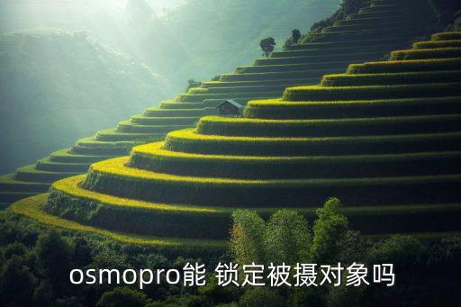  osmopro能 鎖定被攝對(duì)象嗎