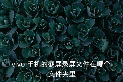 vivo 手機的截屏錄屏文件在哪個 文件夾里