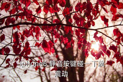  iphone6 靜音按鍵碰一下就震動(dòng)