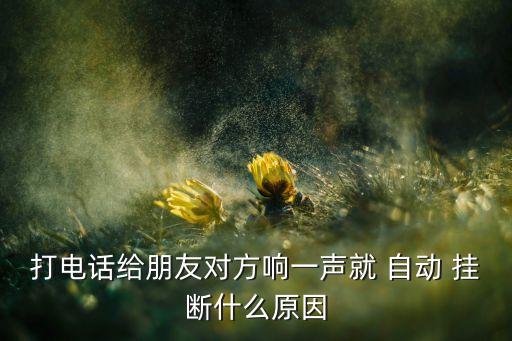 打電話給朋友對方響一聲就 自動 掛斷什么原因