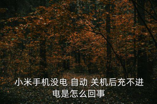  小米手機沒電 自動 關(guān)機后充不進電是怎么回事