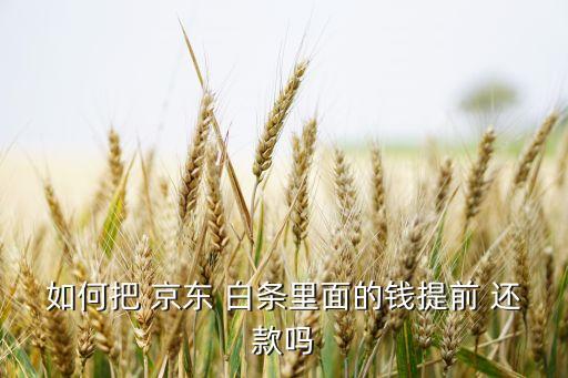 如何把 京東 白條里面的錢提前 還款嗎