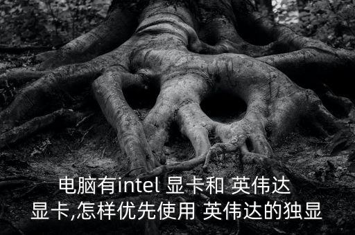 電腦有intel 顯卡和 英偉達 顯卡,怎樣優(yōu)先使用 英偉達的獨顯
