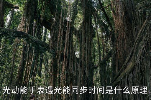 自動(dòng)對(duì)時(shí)的光能表,西鐵城光學(xué)動(dòng)能手表自動(dòng)校正時(shí)間和日期