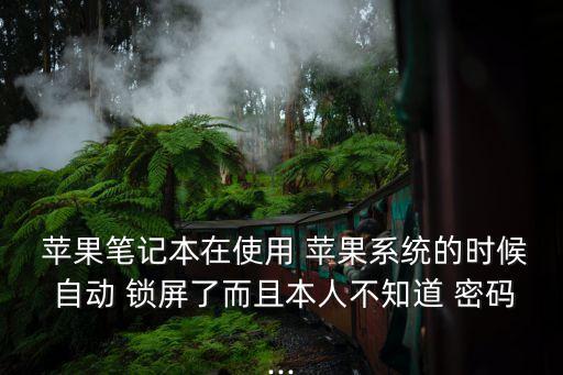  蘋果筆記本在使用 蘋果系統(tǒng)的時候 自動 鎖屏了而且本人不知道 密碼...