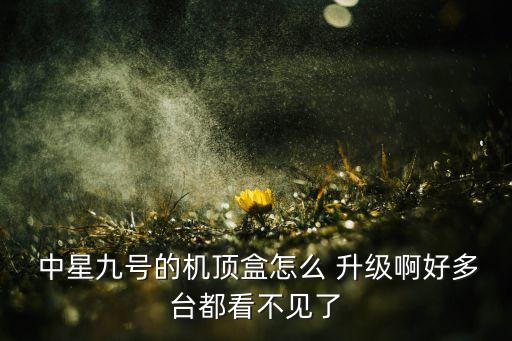 中星9號(hào)自動(dòng)升級(jí)顯示,直播明星專用機(jī)頂盒怎么用?