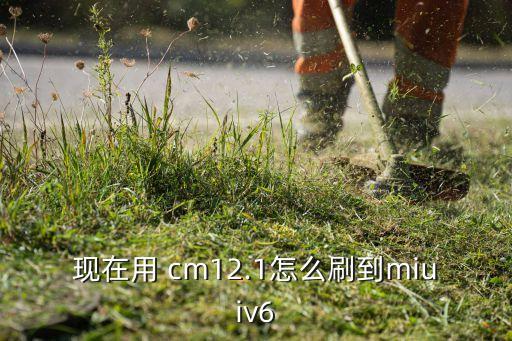 cm12.1怎么自動升級,魔盒系統(tǒng)如何連接電視