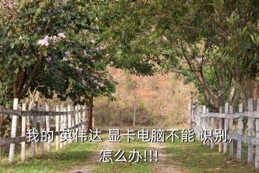 我的 英偉達(dá) 顯卡電腦不能 識(shí)別,怎么辦!!!