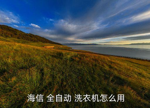  海信 全自動 洗衣機怎么用