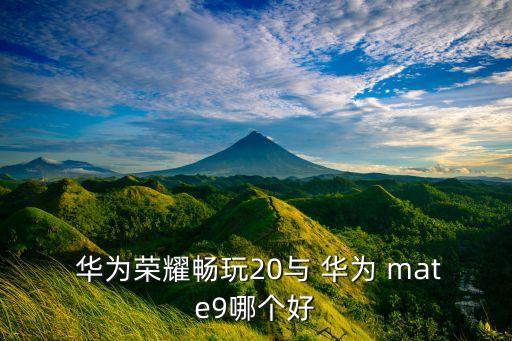  華為榮耀暢玩20與 華為 mate9哪個好