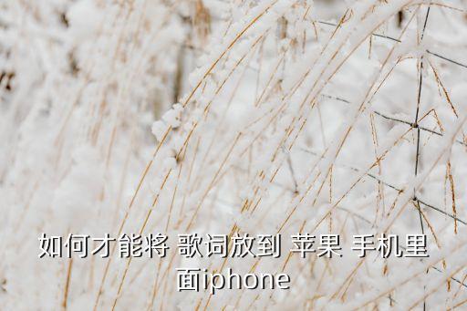 如何才能將 歌詞放到 蘋果 手機(jī)里面iphone