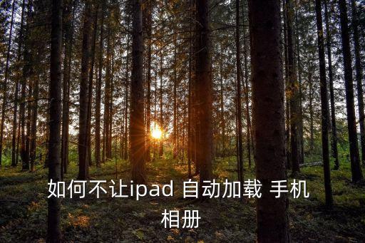如何不讓ipad 自動(dòng)加載 手機(jī) 相冊(cè)