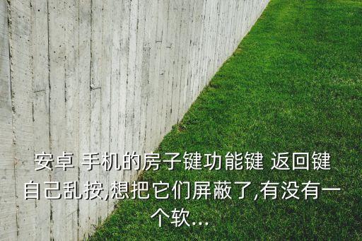 安卓手機返回鍵自動,手機出現(xiàn)病例怎么辦?下載軟件試試效果