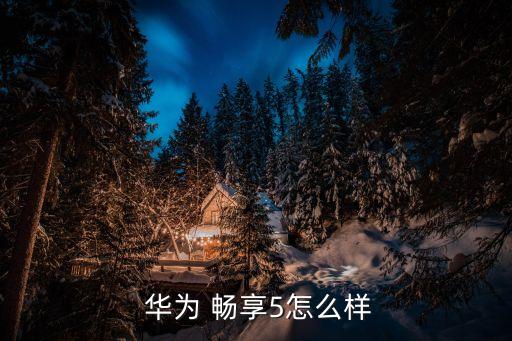 華為暢享5帶自動(dòng)錄音嗎,華為暢享5系統(tǒng)正式推出