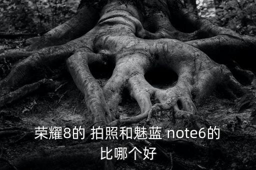 榮耀8的 拍照和魅藍 note6的比哪個好