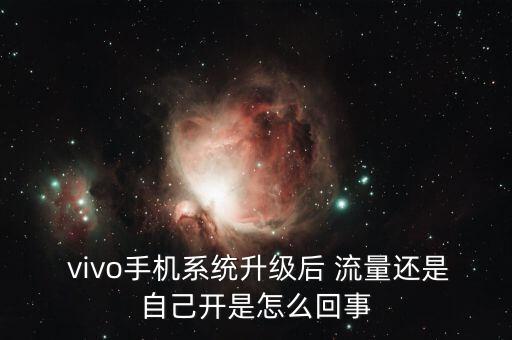  vivo手機(jī)系統(tǒng)升級(jí)后 流量還是自己開是怎么回事