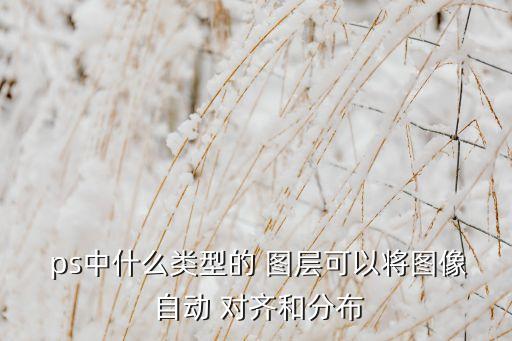 ps自動對齊圖層,如何快速對齊圖片?