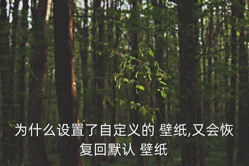 小米4桌面壁紙自動還原,恢復手機壁紙方法:點擊手機設置選項