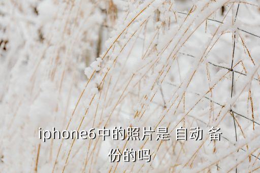 蘋(píng)果自動(dòng)備份照片嗎,第四步:點(diǎn)擊打開(kāi)我的照片流進(jìn)入自動(dòng)備份