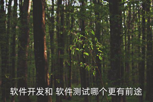 軟件開發(fā)和 軟件測(cè)試哪個(gè)更有前途