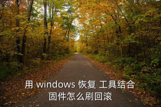 用 windows 恢復 工具結(jié)合固件怎么刷回滾