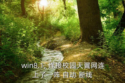  win8.1, 連接校園天翼網(wǎng)連上了一陣 自動 斷線
