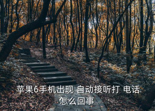  蘋果6手機(jī)出現(xiàn) 自動接聽打 電話怎么回事