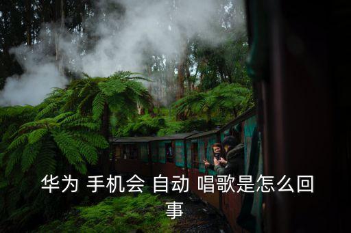  華為 手機(jī)會 自動 唱歌是怎么回事