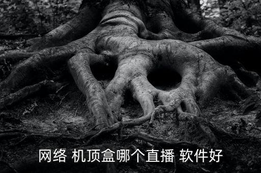 機頂盒 自動播放視頻軟件,安裝網(wǎng)絡(luò)電視直播機頂盒-3/步驟