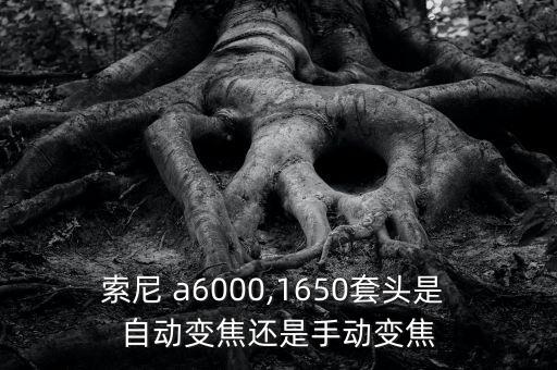索尼 a6000,1650套頭是 自動(dòng)變焦還是手動(dòng)變焦