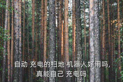  自動(dòng) 充電的掃地 機(jī)器人好用嗎,真能自己 充電嗎