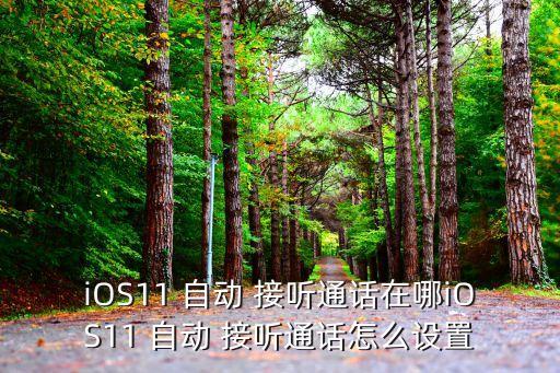 iOS11 自動 接聽通話在哪iOS11 自動 接聽通話怎么設置