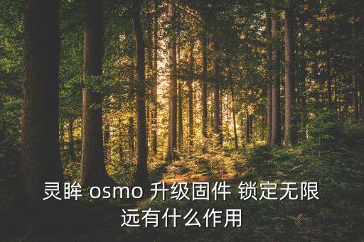 靈眸 osmo 升級(jí)固件 鎖定無(wú)限遠(yuǎn)有什么作用