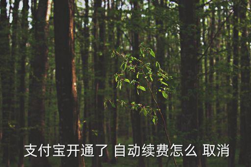  支付寶開(kāi)通了 自動(dòng)續(xù)費(fèi)怎么 取消