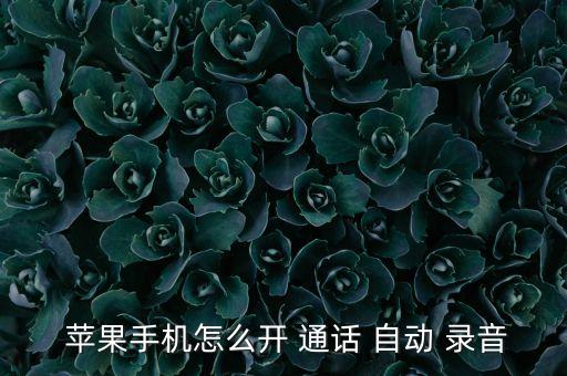 自動(dòng)通話錄音蘋(píng)果軟件,蘋(píng)果手機(jī)通話自動(dòng)錄音有功能嗎?